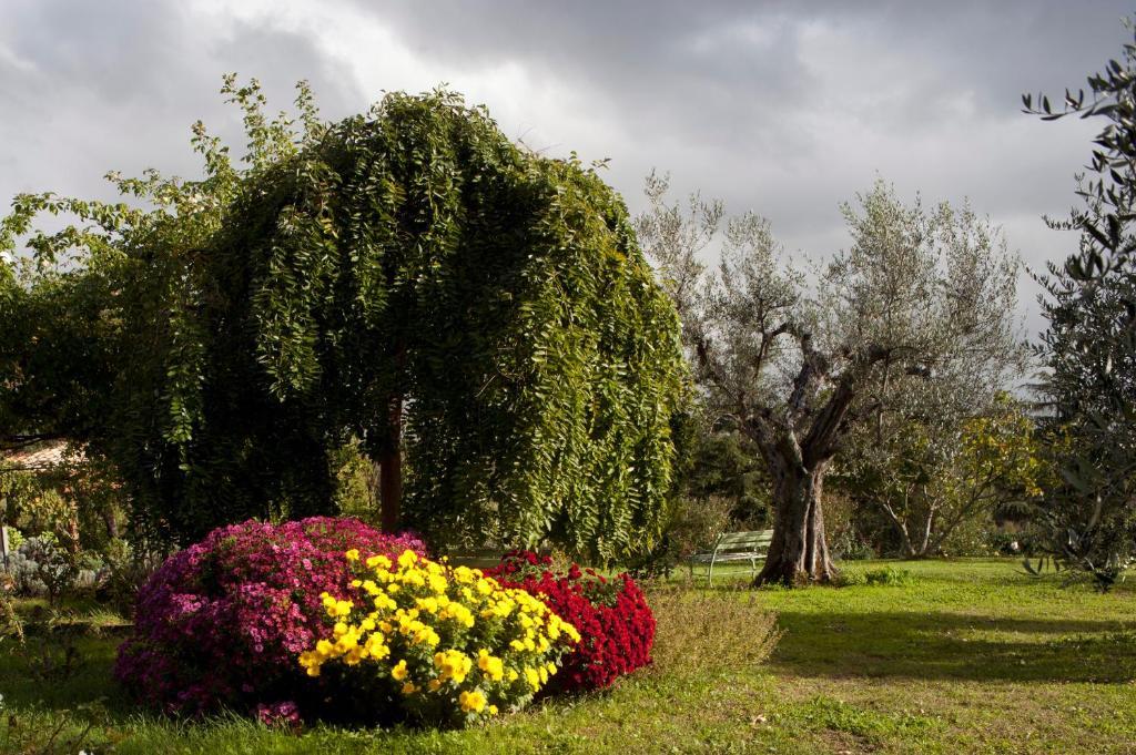 Locanda Ilune Pitigliano Dış mekan fotoğraf