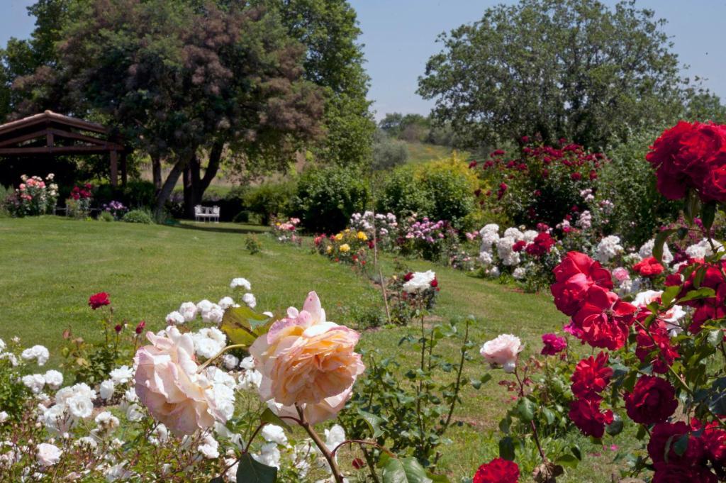 Locanda Ilune Pitigliano Dış mekan fotoğraf
