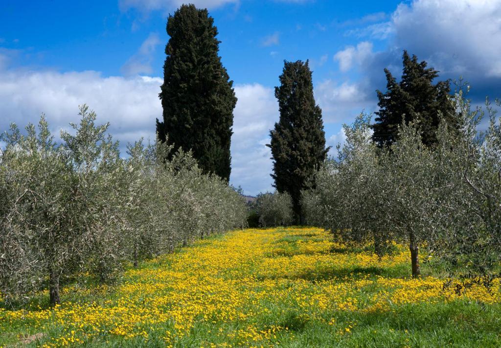 Locanda Ilune Pitigliano Dış mekan fotoğraf