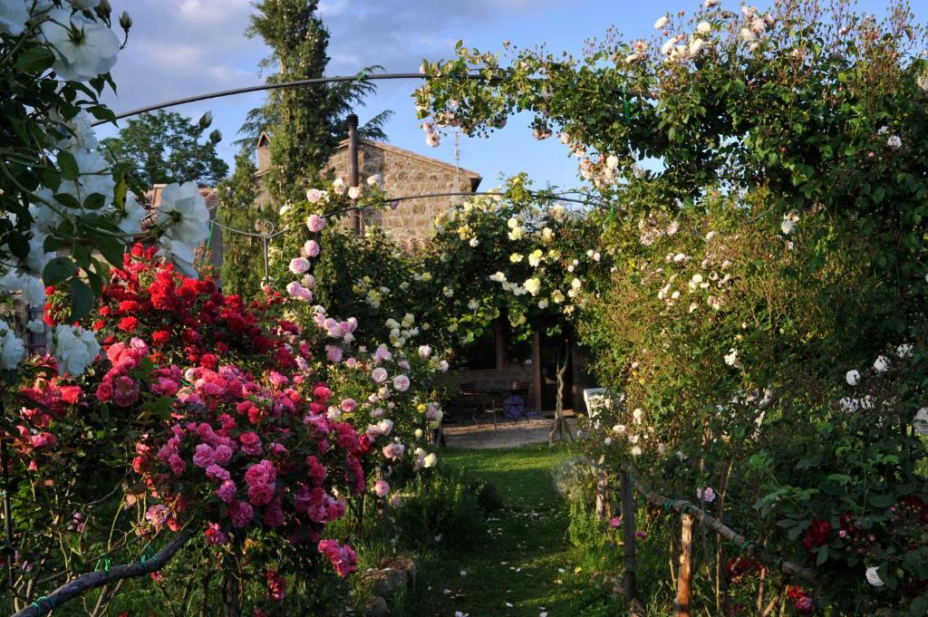 Locanda Ilune Pitigliano Dış mekan fotoğraf