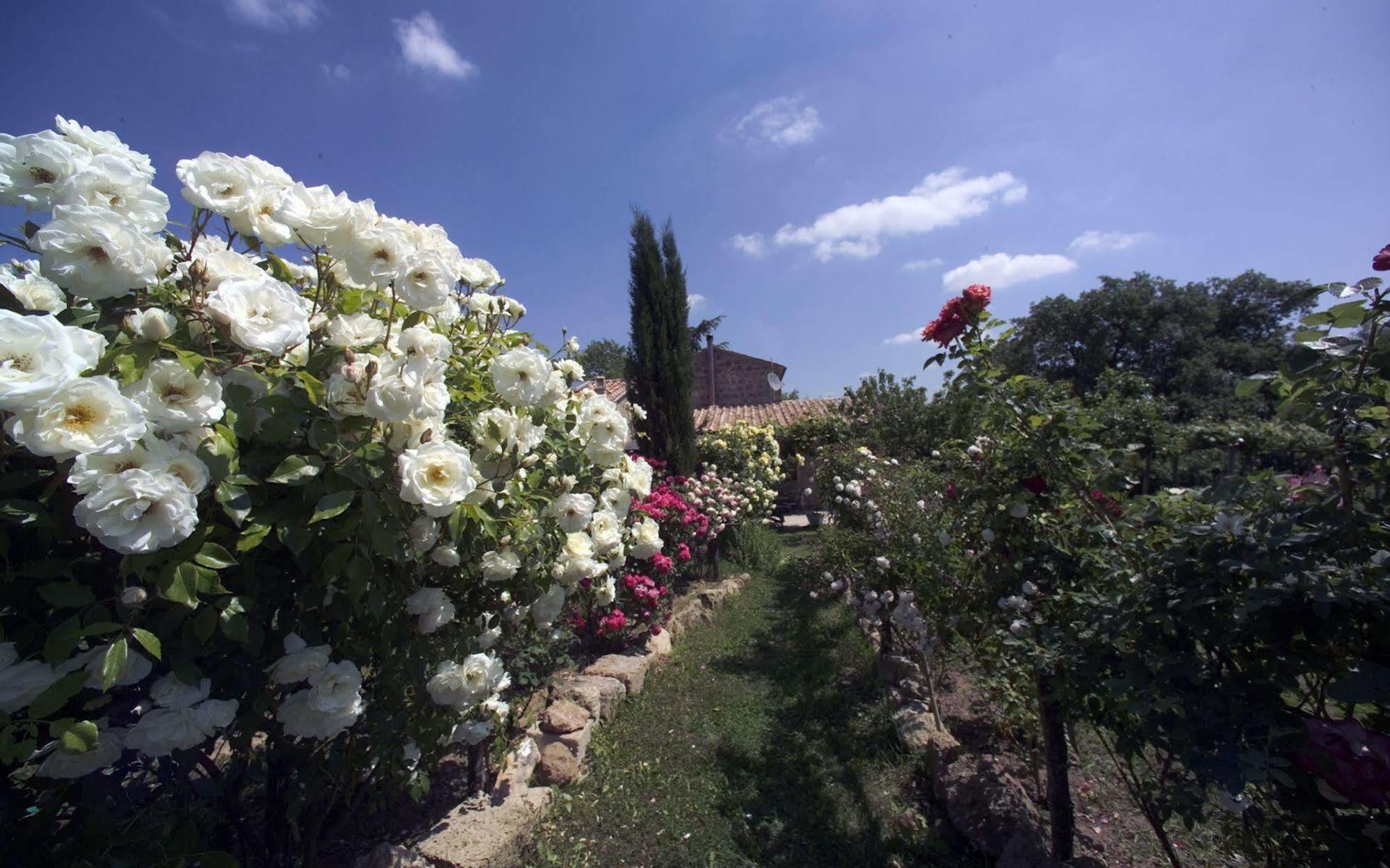 Locanda Ilune Pitigliano Dış mekan fotoğraf